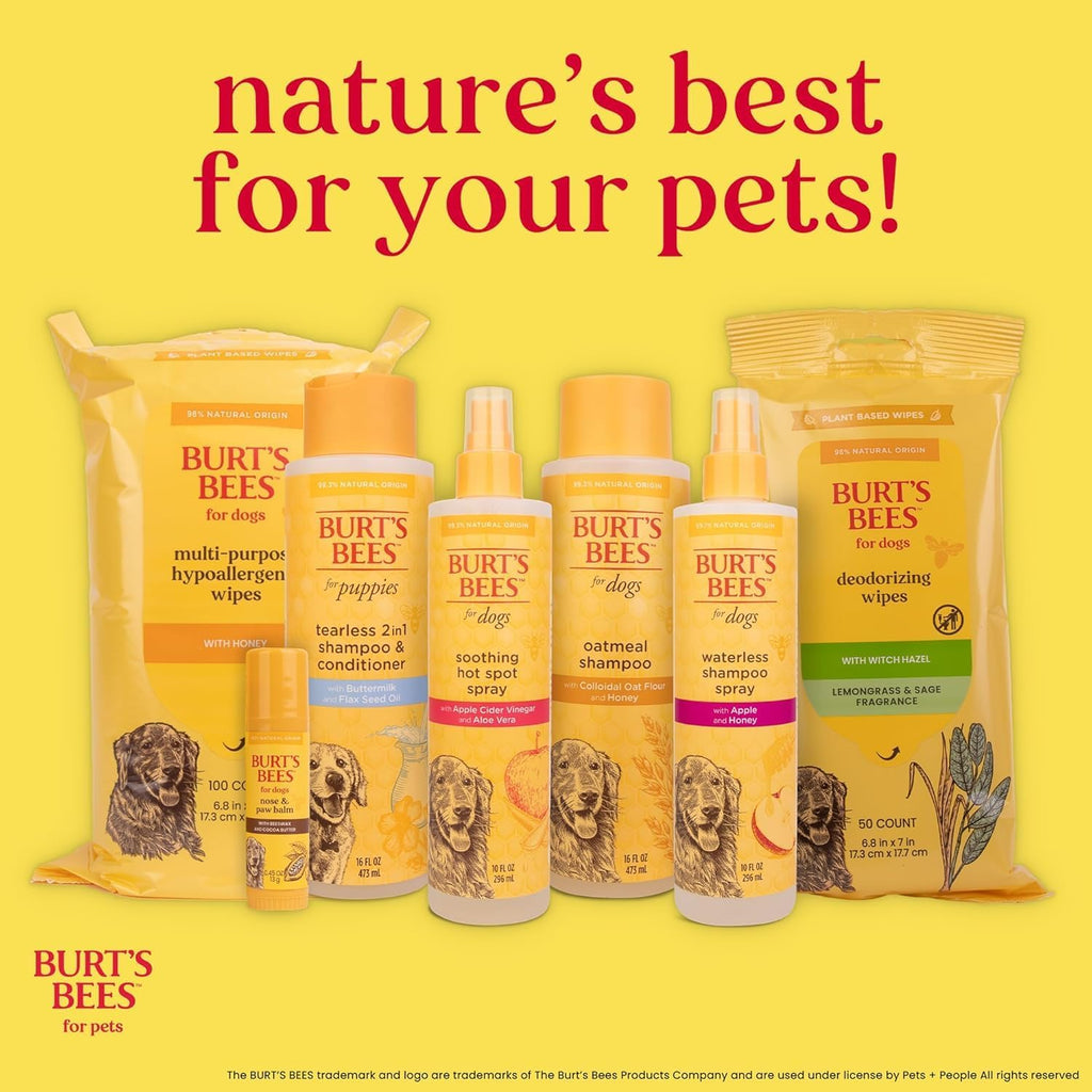 Waterless Shampoo Spray for Dogs, Apple & Honey, No-Rinse Dry Dog Shampoo for All Dogs and Puppies, Ph Balanced, No Sulfates, Parabens, Phthalates, 10 Fl Oz